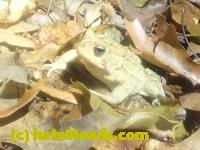/home//u458753944/public_html/sourcegallery////McKaig Nature Center/2024-09-23/P9231562.JPG